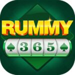 RUMMY 365 APK